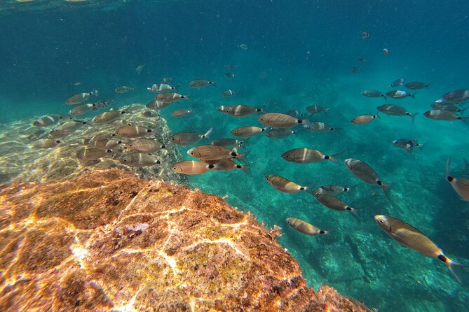 Kamenjak Nature Park: Kayak Tour with Snorkeling & Cave Exploring - What the guide adds to the day