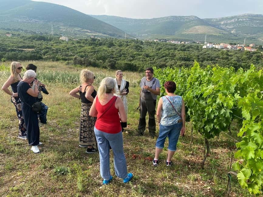 Kastela: Wine & Olive Tasting Tour w/Delicacies & Live Music - A Dalmatian lunch beneath the pergola