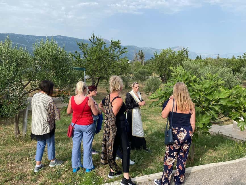 Kastela: Wine & Olive Tasting Tour w/Delicacies & Live Music - What the $173 price includes