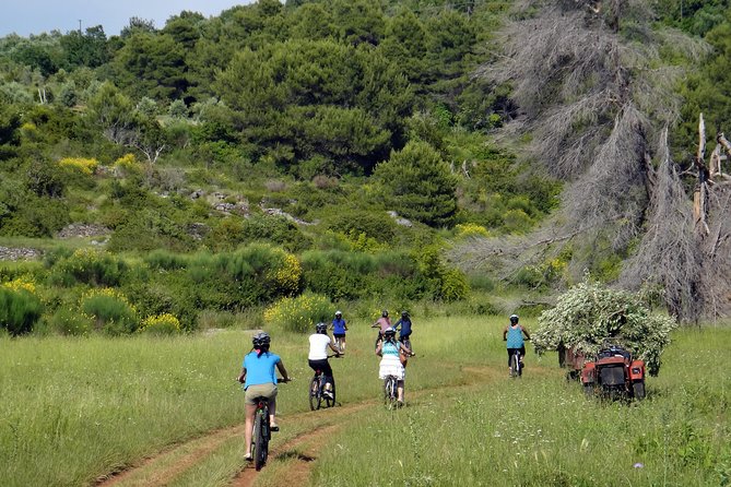 Kayak and Bike Tour to Sipan island from Lopud - Key points to know before booking