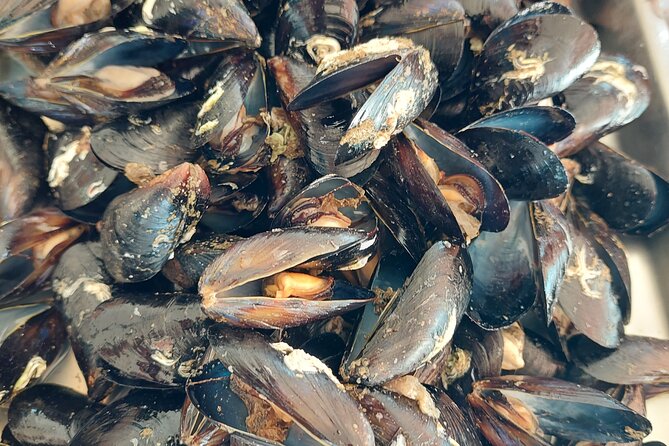 Kayaking and mussels tasting at Krka River estuary-private tours - Visiting the shell farm and tasting fresh mussels