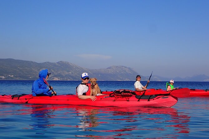 Kayaking Korčula's Paradise -Half Day Guided Kayak Tour - Second stop: short walks, stonework, and a slower pace