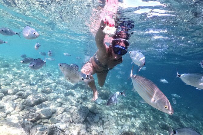 Kayaking to Island Saint Jerolim with snorkeling activitie - The serious booking caution