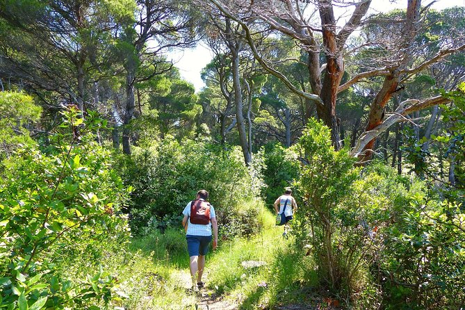 Kolocep Island Hiking and Swimming Full Day Trip from Dubrovnik - What the $105.86 price really covers