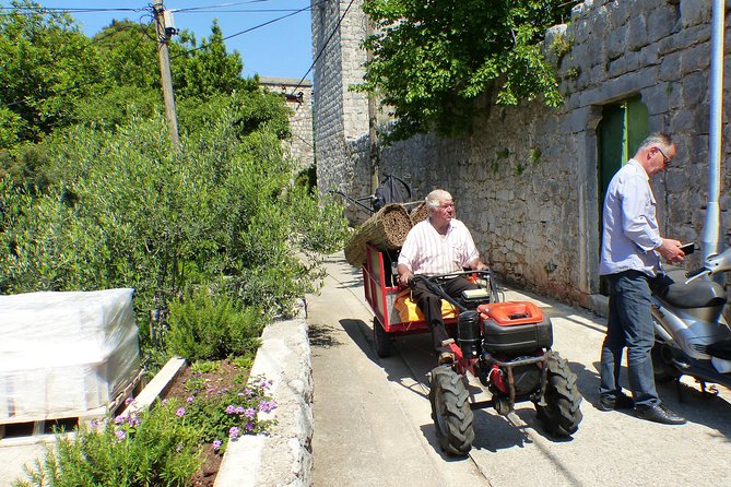 Kolocep Island Hiking and Swimming Full Day Trip from Dubrovnik - Who should book this island day