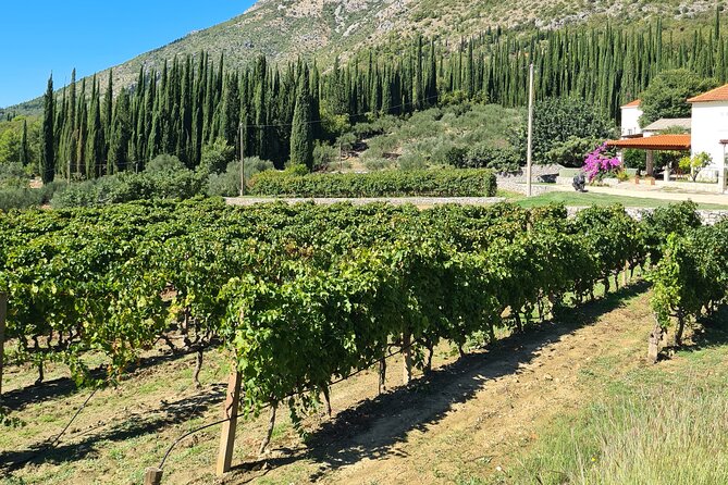 Konavle Gastro & Culture Tour (Private Tour) - What the private format is really worth