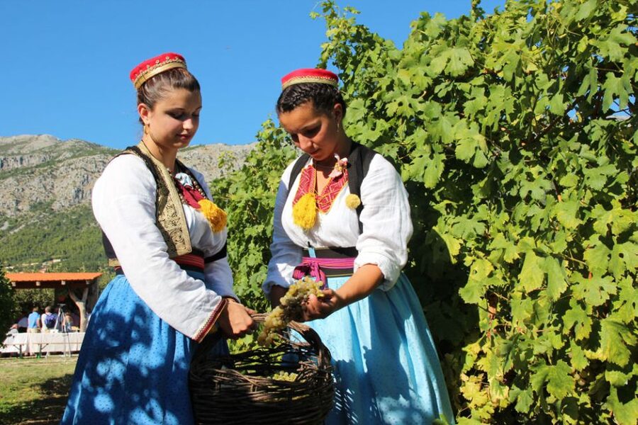 Konavle Valley: Private Half-Day Tour with Wine Tasting - The River Ljuta and Konavoski dvori Park