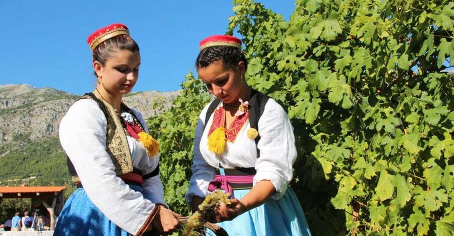 Konavle Valley: Private Half-Day Tour with Wine Tasting - A Stop in Cavtat and the View from Cavtat Hill