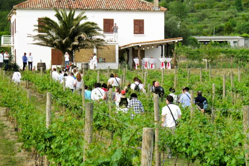 Konavle Valley: Tour with Wine Tasting from Dubrovnik - Key points to know before booking