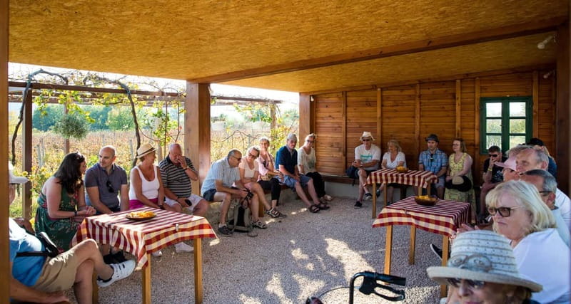 Konavle Valley: Tour with Wine Tasting from Dubrovnik - The wine tastings and what you actually get