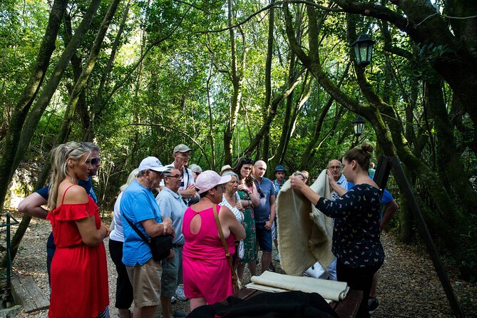 Konavle Valley Wine Tour from Dubrovnik with Train Ride and Wine Tasting - The Đivanović Water Mill