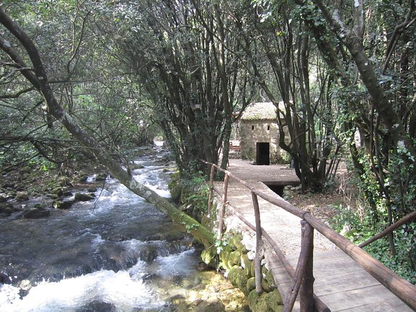 Konavle Valley Wine Tour from Dubrovnik with Train Ride and Wine Tasting - Pišta Estate and the Rustic Snack
