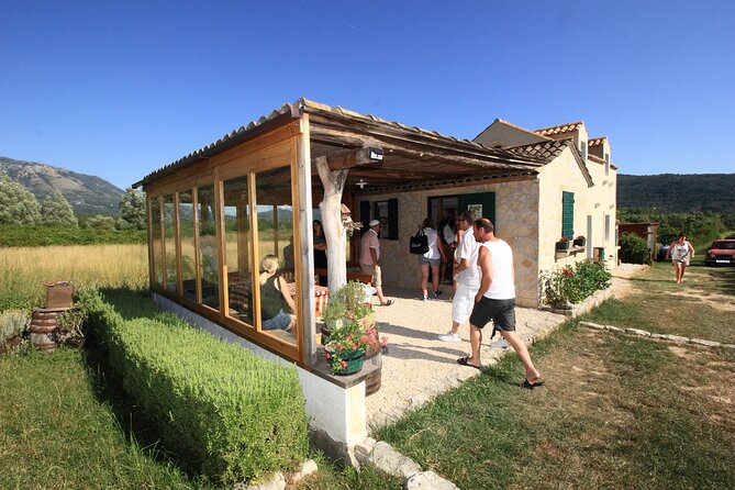 Konavle wine tasting tour from Dubrovnik with 2 vinery's - Vodopić Winery in Konavle