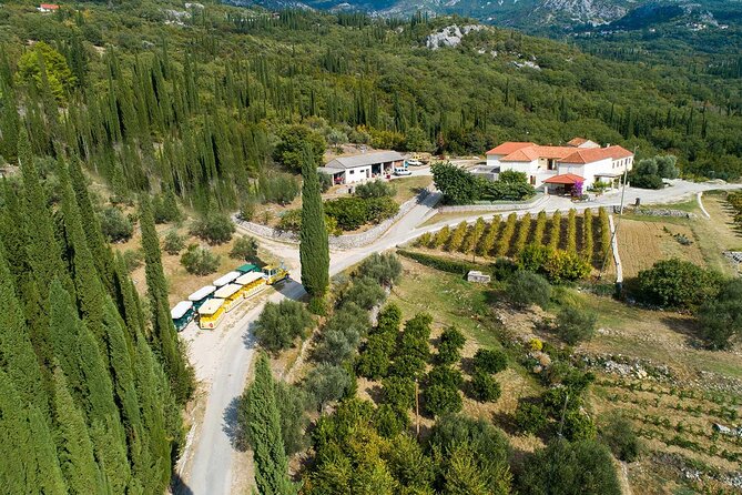 Konavle wine tasting tour from Dubrovnik with 2 vinery's - Guide quality can shape the whole day