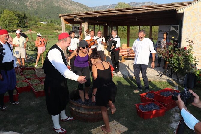Konavle wine tasting tour from Dubrovnik with 2 vinery's - Who should book this Konavle tour?