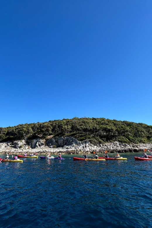 Korcula Archipelago Kayak Tour - Clear Water, Snorkeling Gear, and Time to Look Below