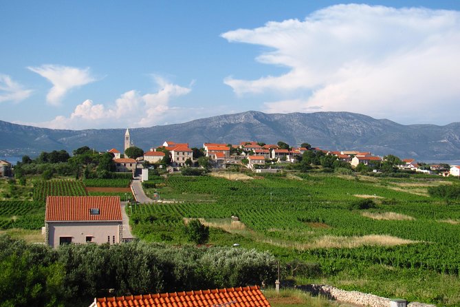 Korcula Bike & Wine Tour | Wine Tasting in Lumbarda - Why the small group changes the feel