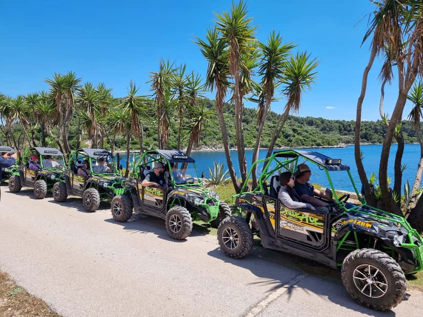 Korcula: Buggy Safari with Local Food and Wine Tasting - Key points to know before you book