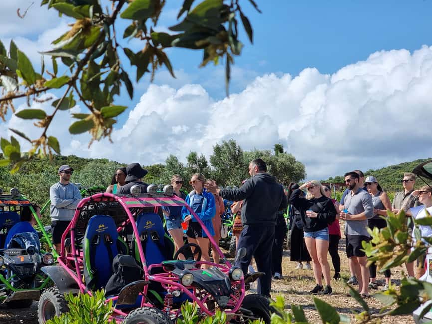 Korcula: Buggy Safari with Local Food and Wine Tasting - The GRK vineyard and Korcula’s wine tradition