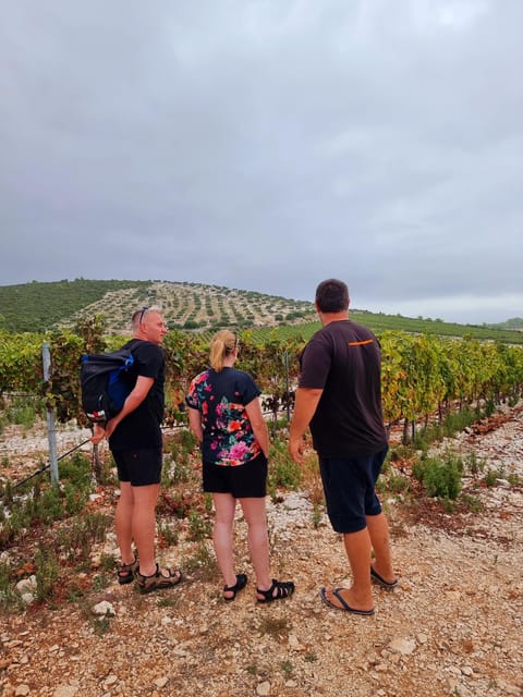 Korcula: Buggy Safari with Local Food and Wine Tasting - Lumbarda beach, swimming, and a welcome break
