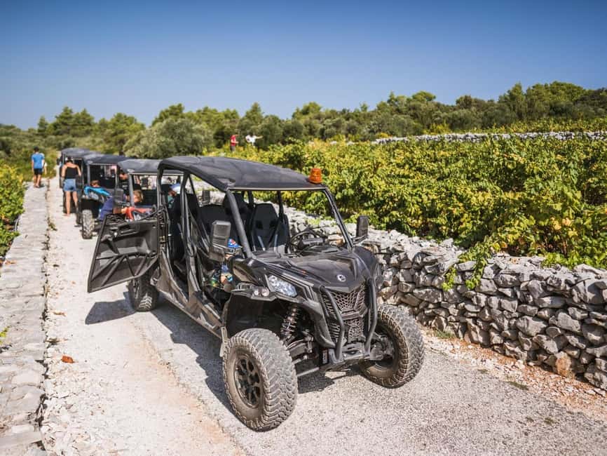 Korcula Buggy Safari With Wine Tasting - Key points at a glance