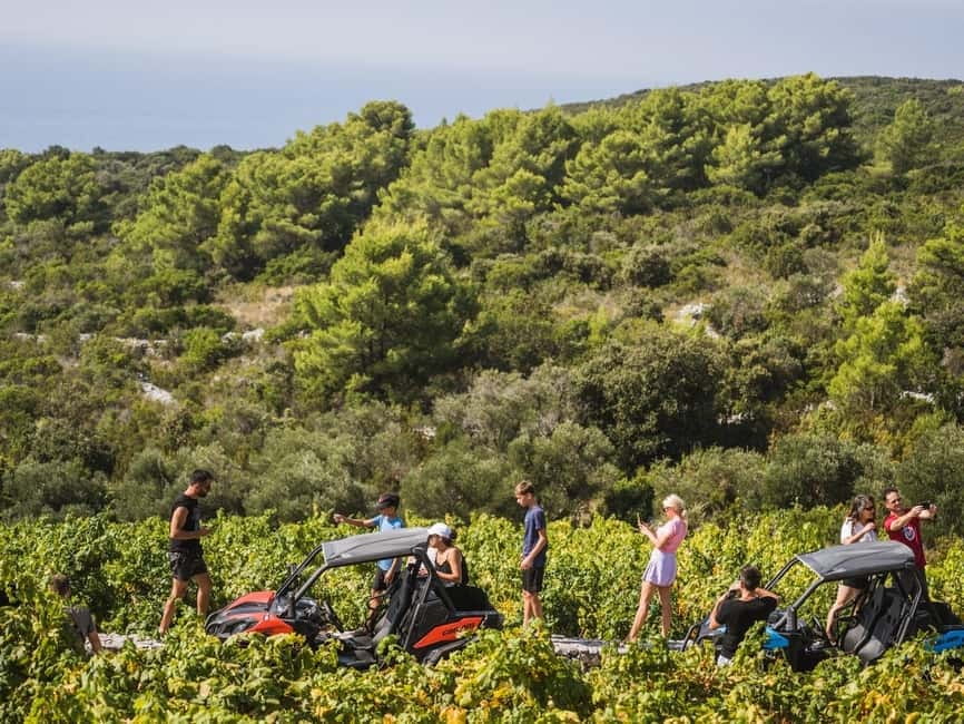 Korcula Buggy Safari With Wine Tasting - What to bring and how to prepare
