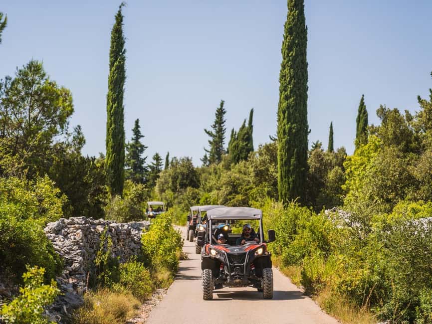 Korcula Buggy Safari With Wine Tasting - Adria Winery and a tasting beyond wine