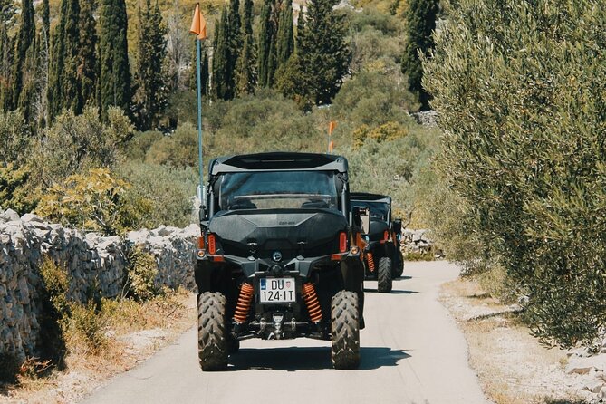 Korcula Island Private Buggy Beach Hunting Safari with lunch - The final ride and return to town