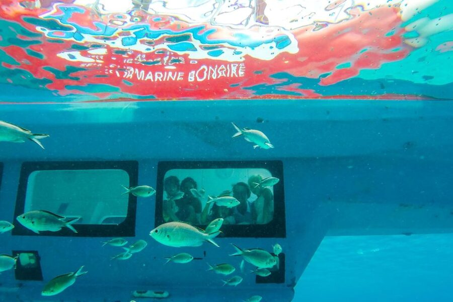 Korcula: Semi-Submarine Tour - How much value do you get for $23?