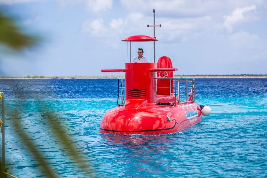 Korcula: Semi-Submarine Tour - Who will enjoy this most