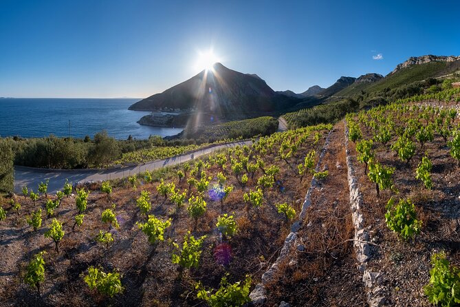 Korčula & Ston: Island Charms, Pelješac Delights & Wine Tasting - Pelješac wine with a taste of Plavac Mali