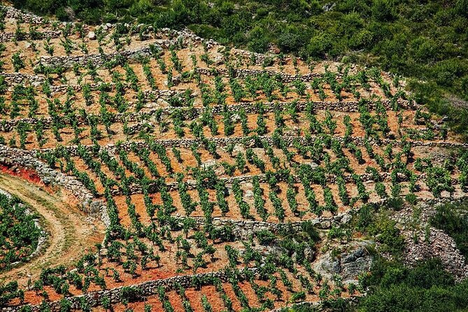 Korčula & Ston: Island Charms, Pelješac Delights & Wine Tasting - The optional oyster stop at Mali Ston