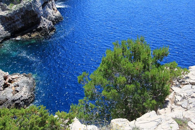 KORNATI by speed boat - Key points to know before booking