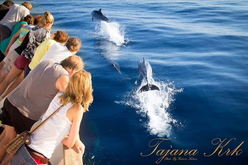 Krk:Rab & Pag Boat Trip with Swimming & City Tour with lunch - Who will enjoy this trip most?