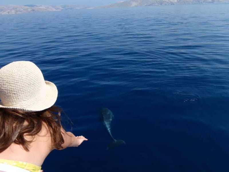 Krk:Rab & Pag Boat Trip with Swimming & City Tour with lunch - A full Adriatic day from Krk