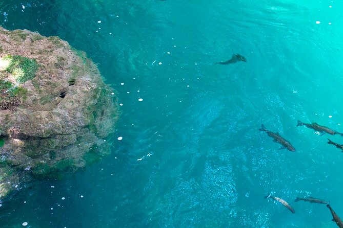 Krka Waterfalls Tour from Split with Boat Ride & Swimming - The 30-minute boat ride to Skradin