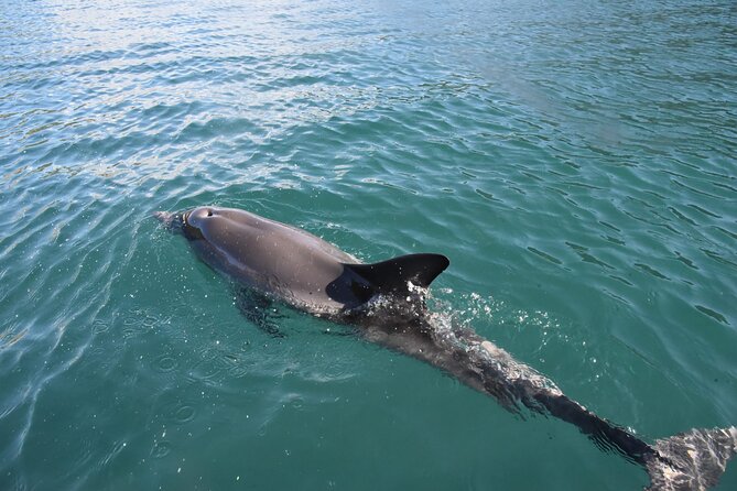 Lim Bay Outrigger Canoe Tour - Starting Near Marasi and Finding Your Rhythm
