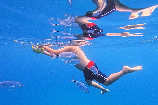 Makarska: 3-Island Speedboat Tour with Cave and Blue Lagoon - Jelsa gives Hvar a human scale