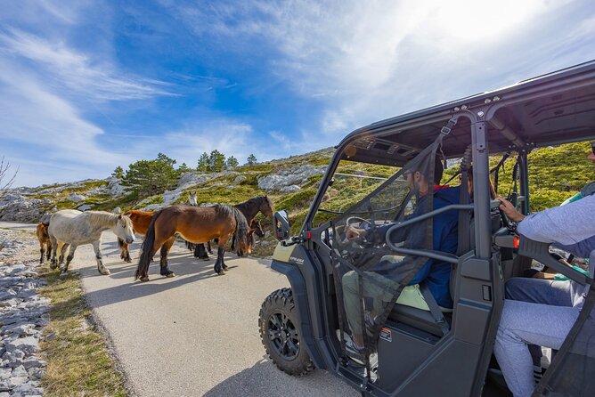 Makarska: Baggy Skywalk & Biokovo viewpoint Tour - The homemade picnic adds a welcome local touch