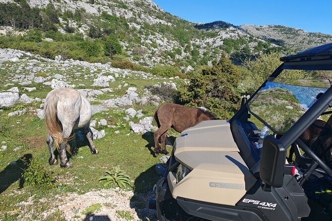 Makarska: Baggy Skywalk & Biokovo viewpoint Tour - Guides make the outing feel personal