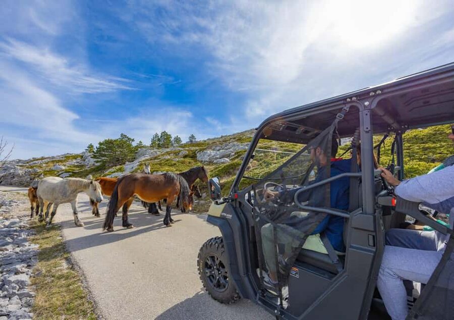 Makarska: Buggy Skywalk and Biokovo Tour - Key points to know before you book