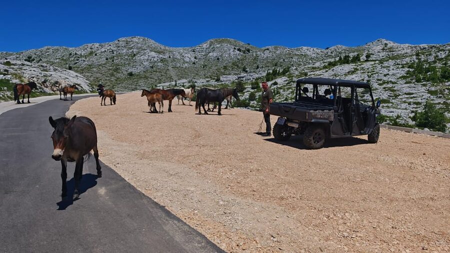 Makarska: Buggy Skywalk and Biokovo Tour - Walking toward Sinjal, Biokovo’s high point