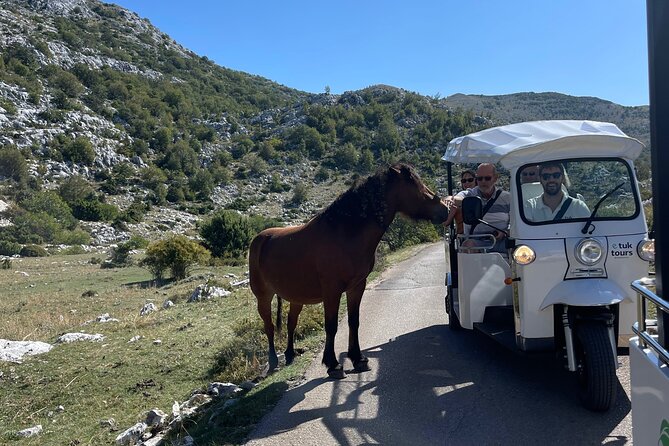 Makarska: Skywalk Tour with a Tuk Tuk - Skip the line ticket - Who will enjoy this Makarska excursion?