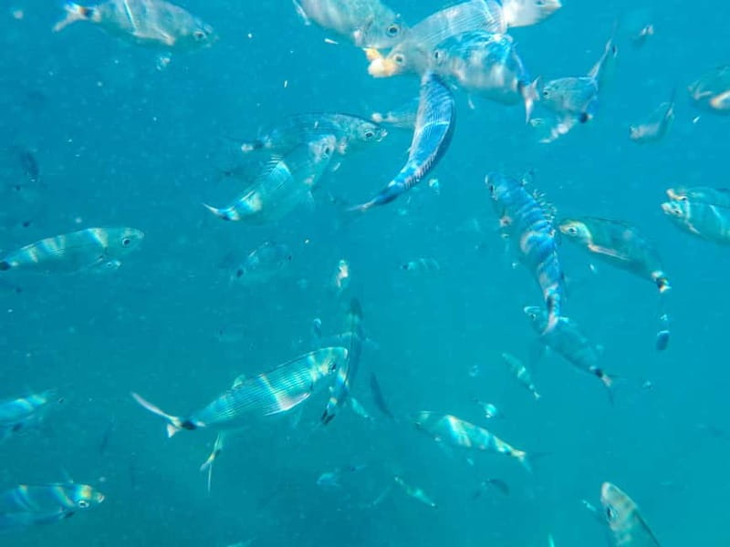 Medulin: Glass Boat Tour Experience to Kamenjak with Mermaid - Entering Golumber Cave near the Kamenjak cliffs