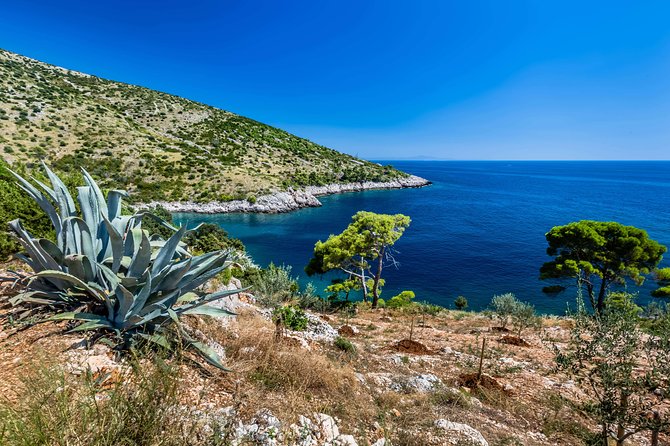 Mesmerizing Hvar speed boat tour with optional wine tasting - Captain Dujo and the value of a flexible route