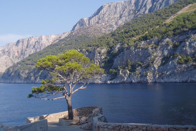 Mesmerizing Hvar speed boat tour with optional wine tasting - Green Lagoon and the first swim