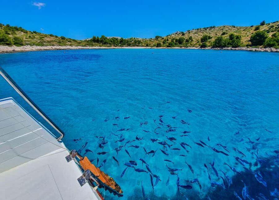 Mikado Kornati Excursion - The Main Strengths and Weaknesses