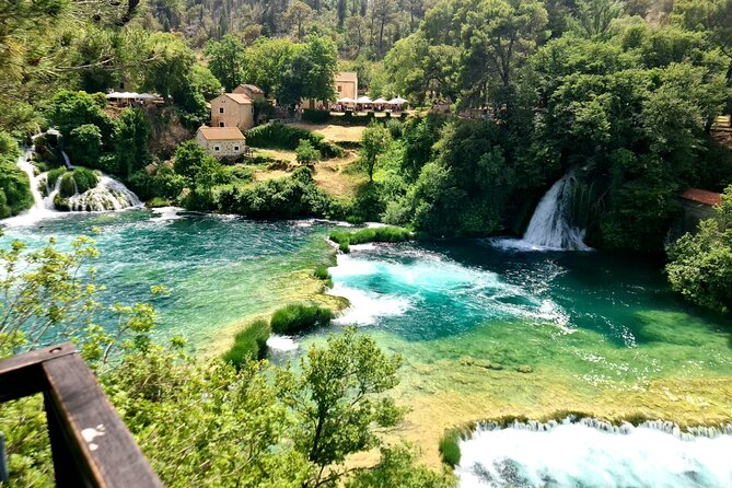 Mljet Island tour from Dubrovnik - Guide service and language limits
