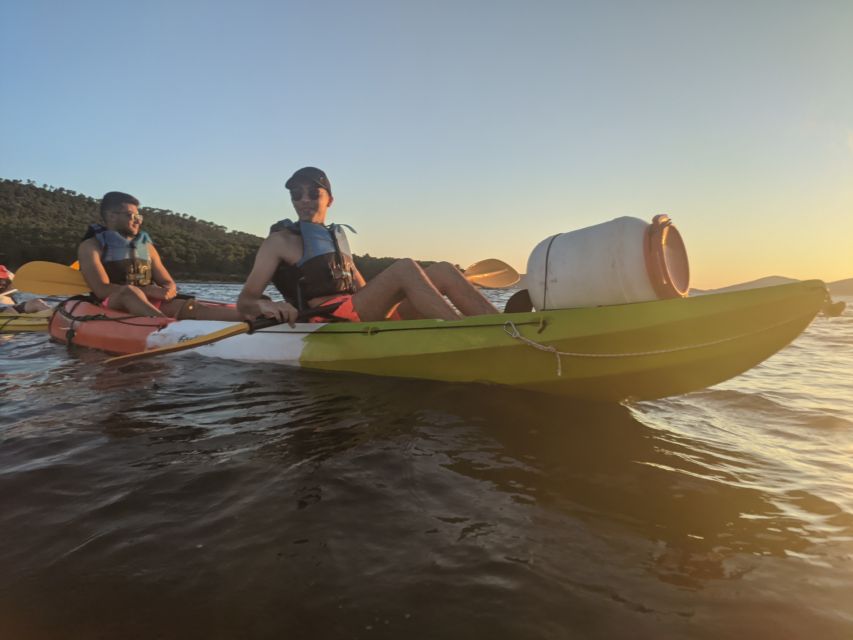 Morning Split Sea Kayaking Tour - What the guides add to the trip