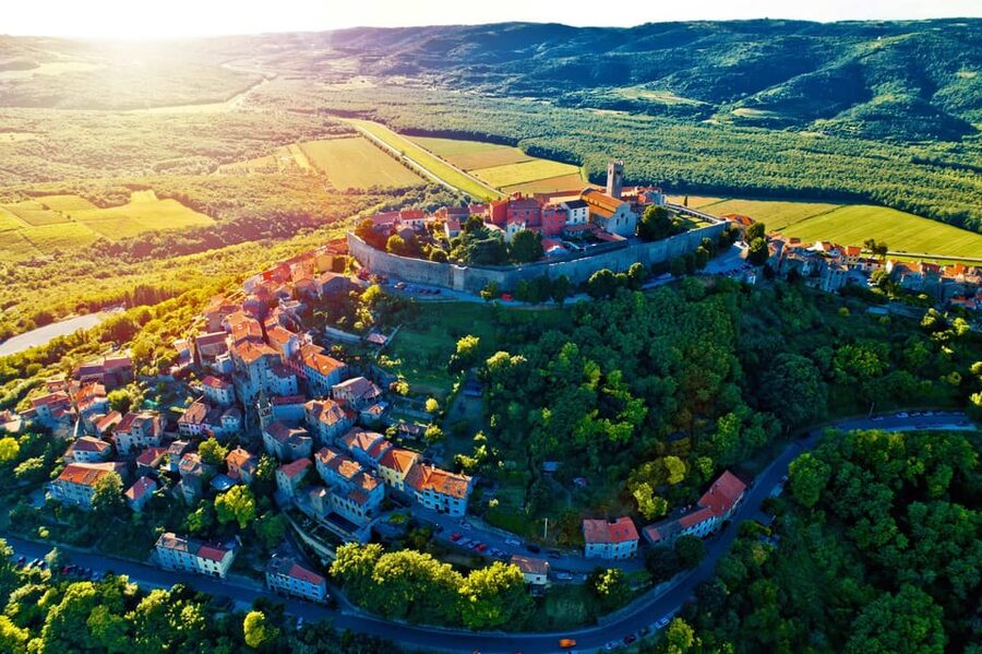 Motovun: The trail of Giants hiking tour & Fritule Tasting - Following the road of giants through Istria